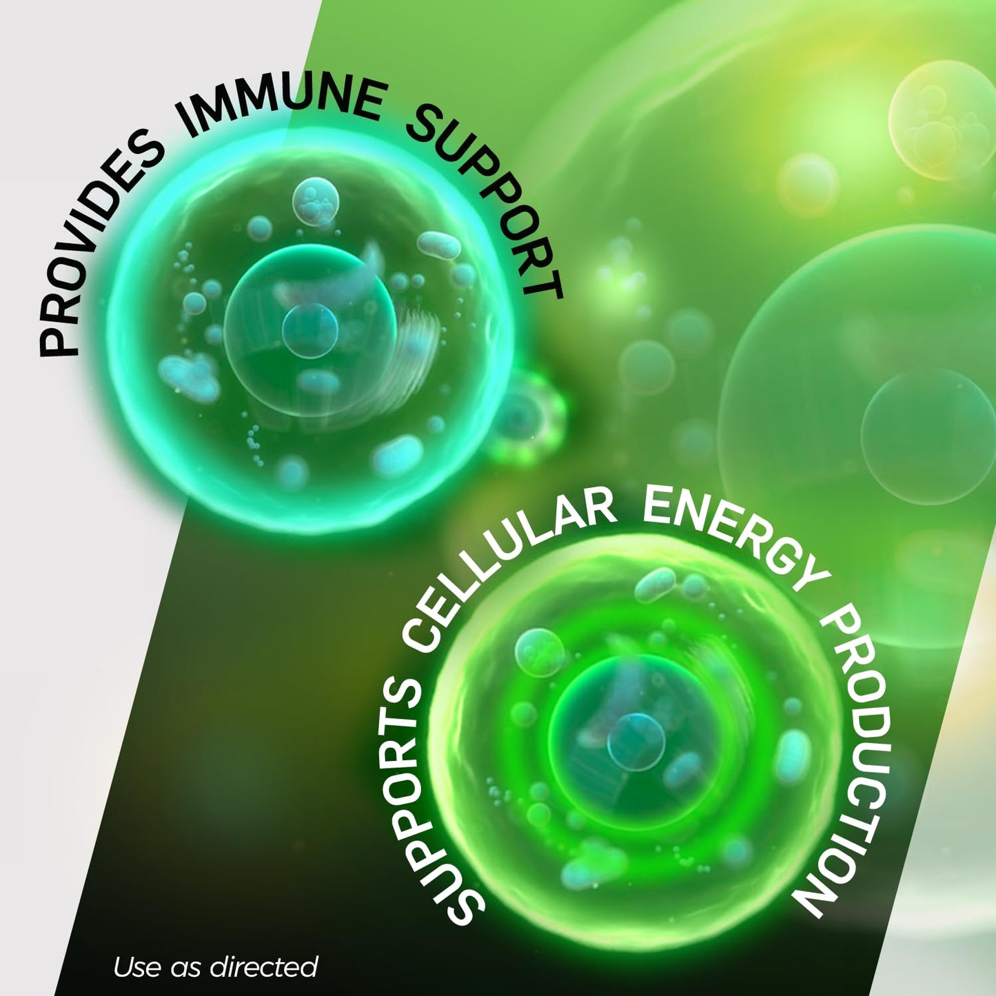 Apoyo inmunológico y producción de energía