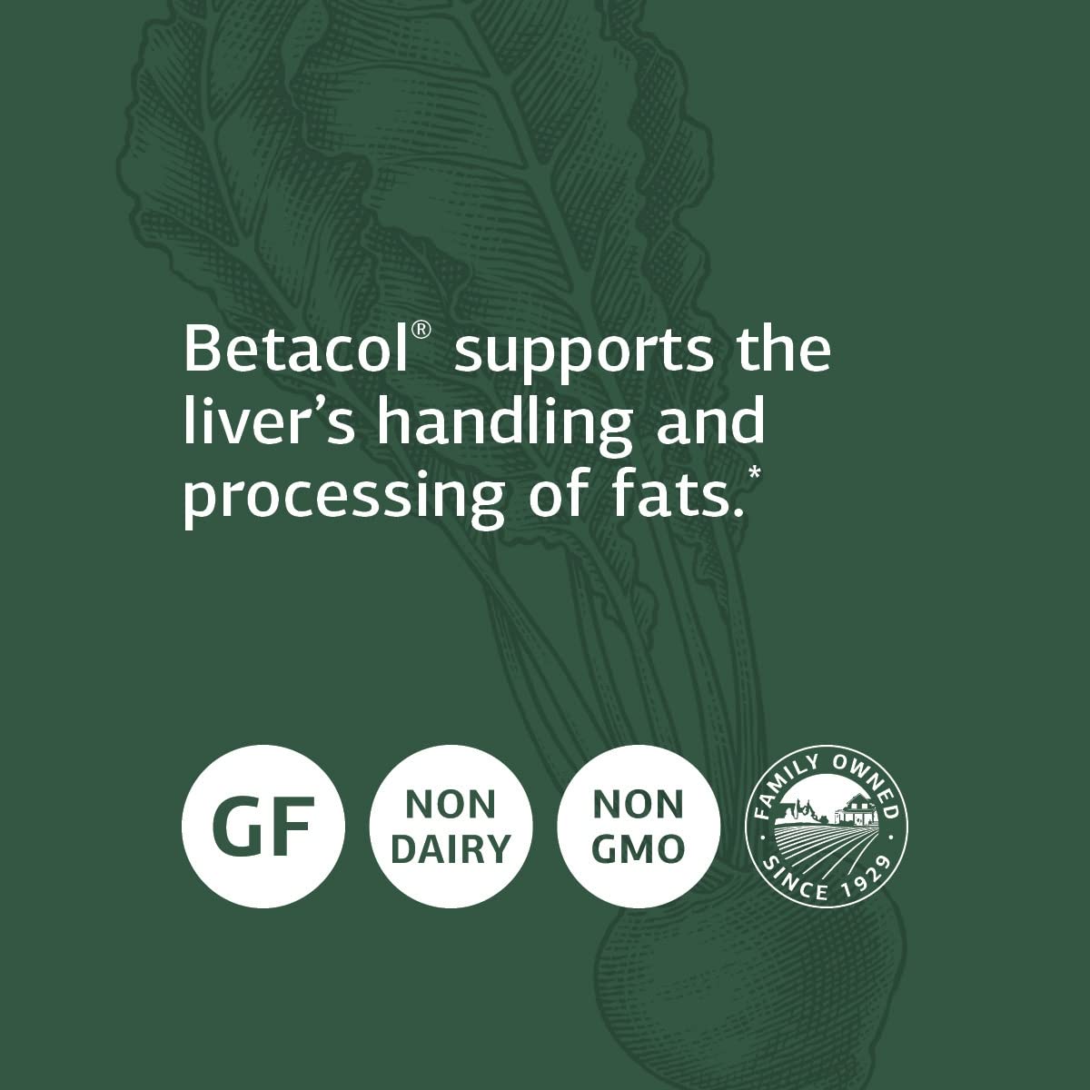 Betacol Standard Process ingredientes para soporte hepático