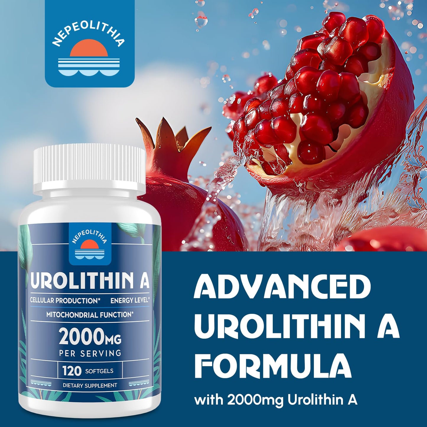 Caja suplemento Urolitina A Nepeolithia 2000 mg