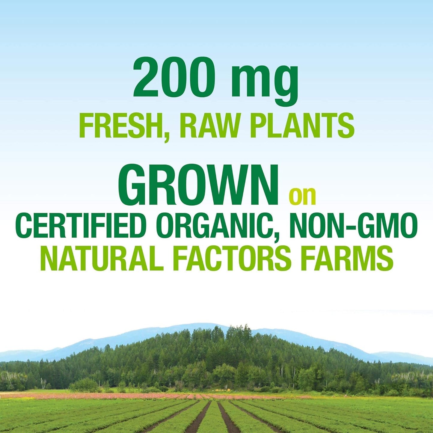 Caja de Whole Earth & Sea Natural Factors multivitamínico prenatal