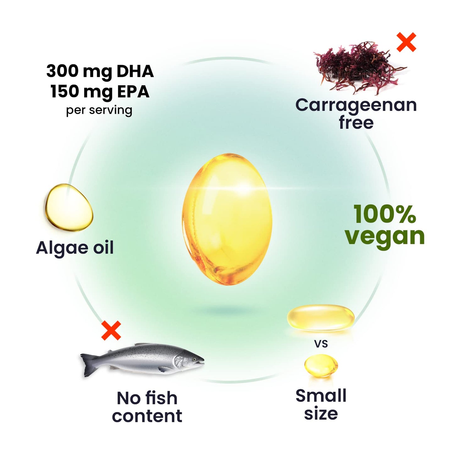 capsula de omega 3 vegano de alga sin pescado