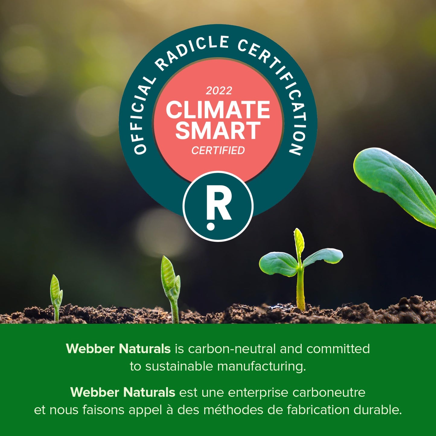 Cápsulas blandas vitamina E Webber Naturals paquete grande