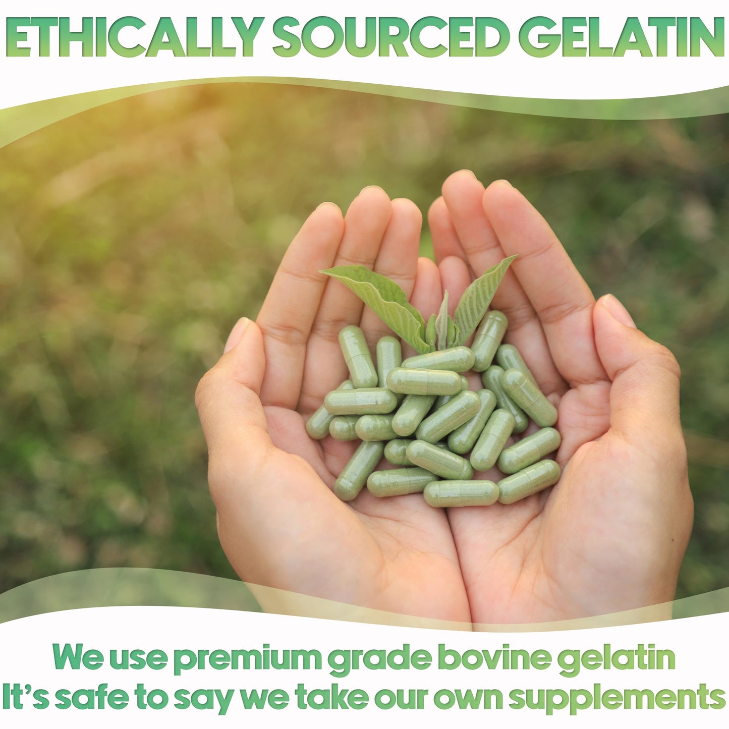 Manos sosteniendo cápsulas de gelatina verde de origen ético