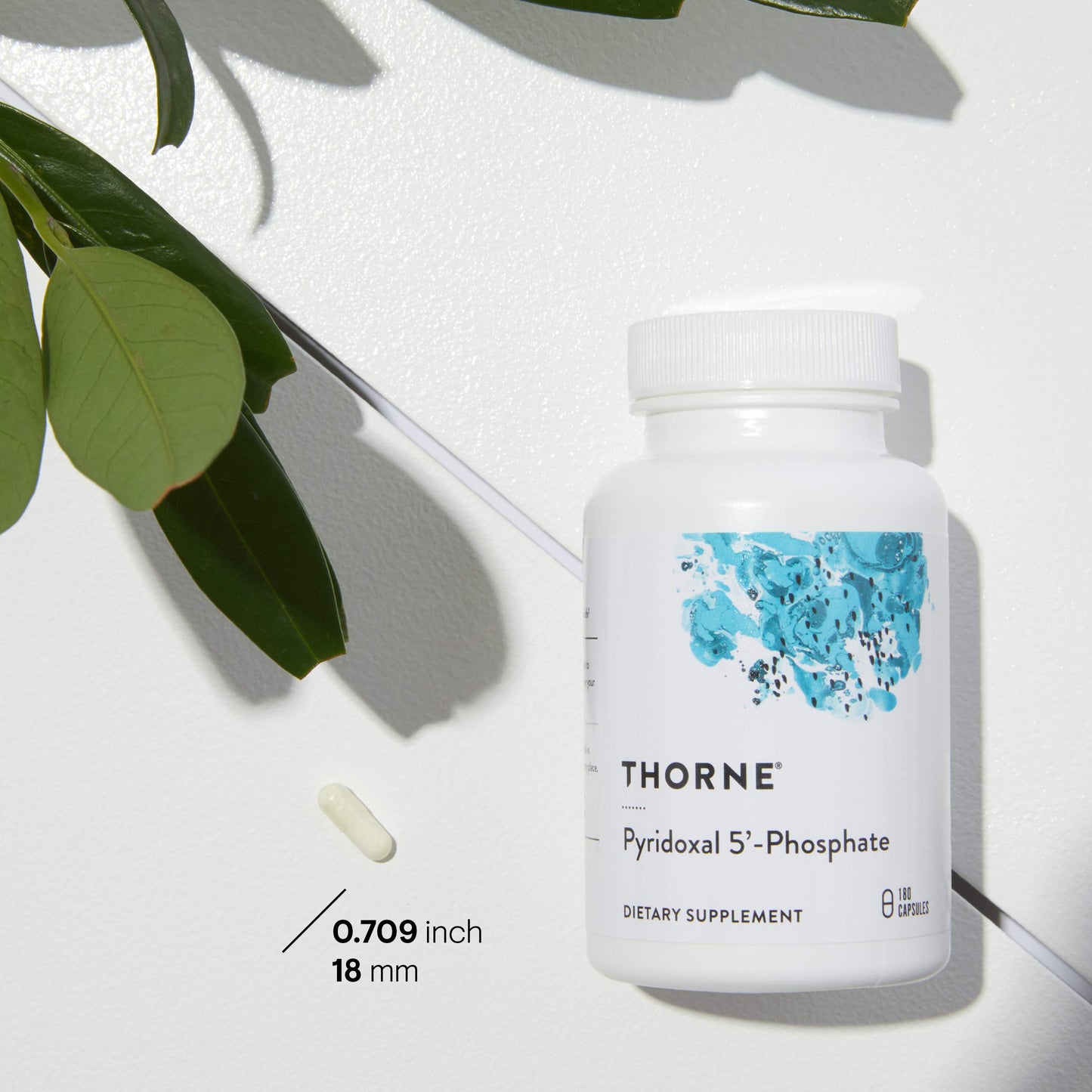 Cápsulas THORNE piridoxina vitamina b6