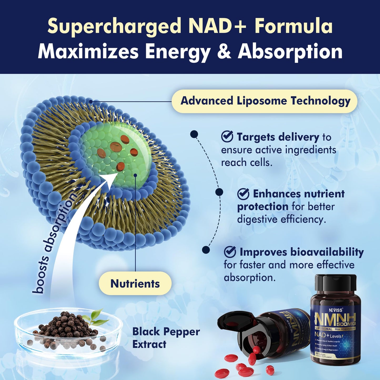 Componentes premium NEVISS NAD+ suplemento antiedad