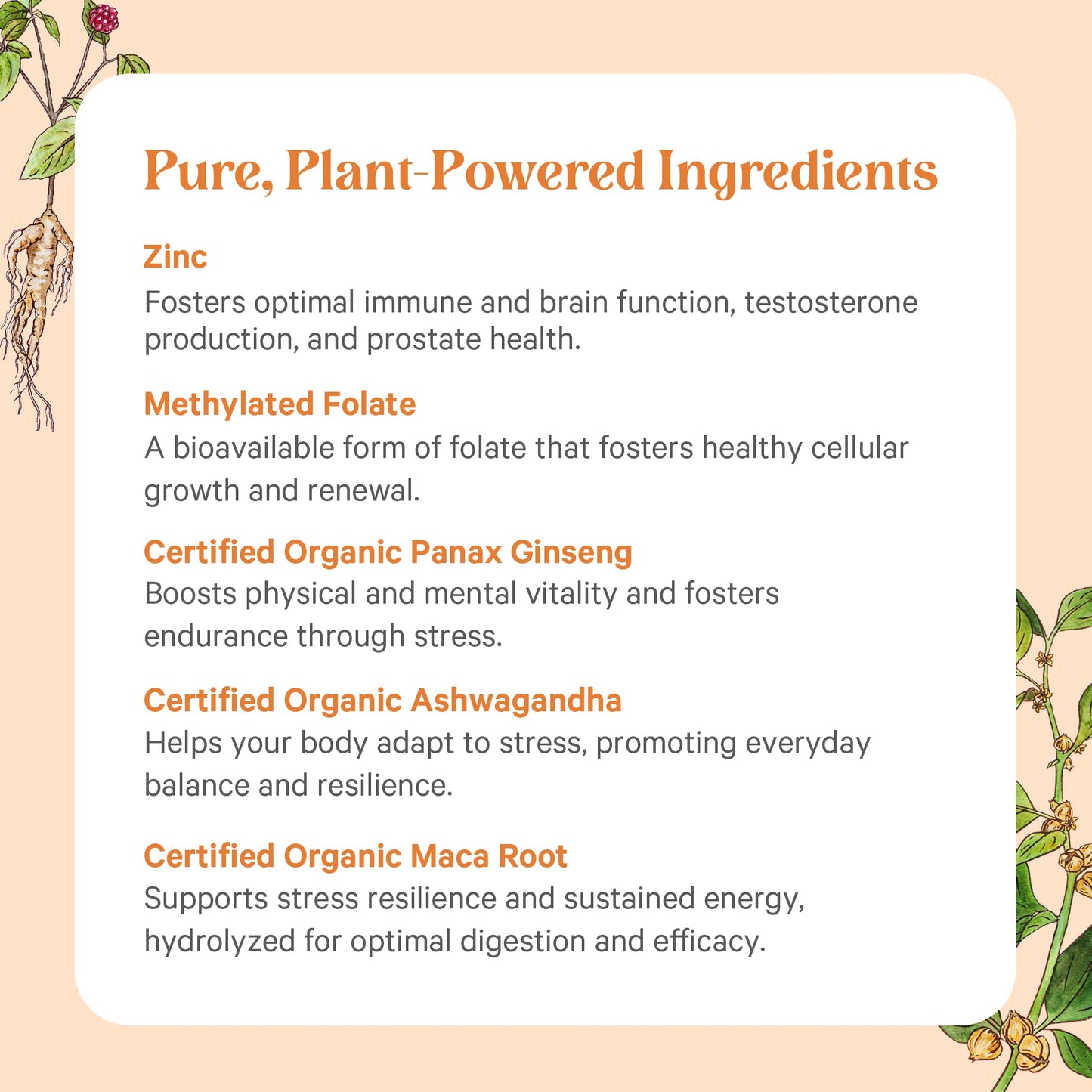 comprimidos de multivitamínico PURE SYNERGY