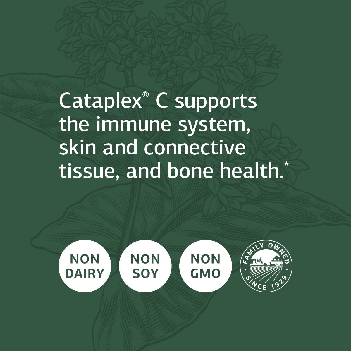 Detalles empaque Standard Process Cataplex C
