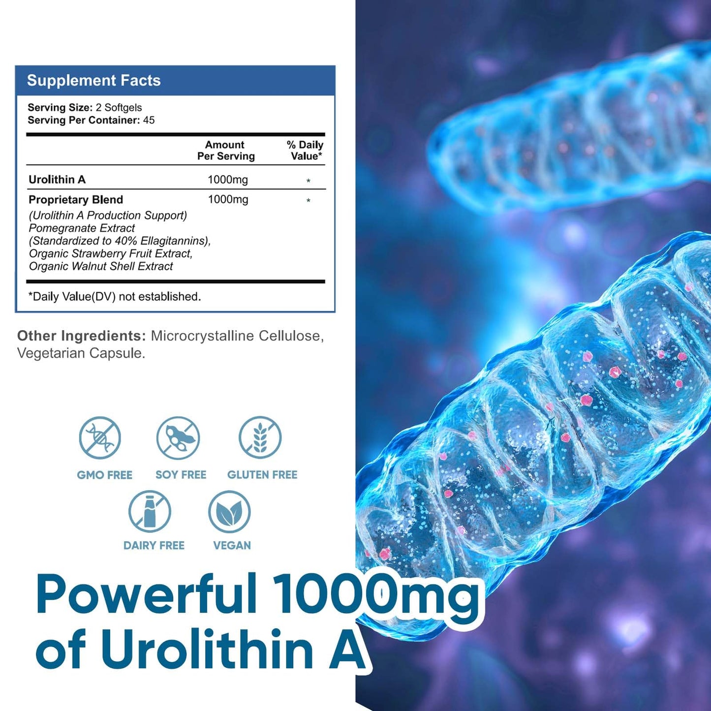 DQQI urolithin a caja suplemento antioxidante