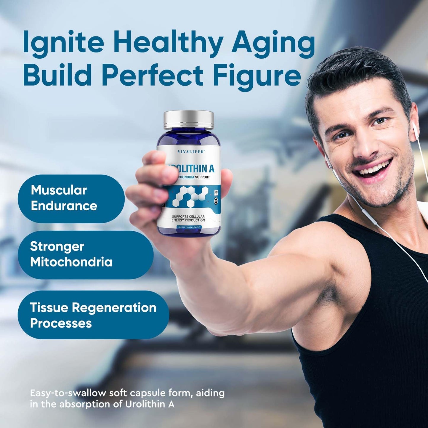 DQQI urolithin a ingredientes y beneficios