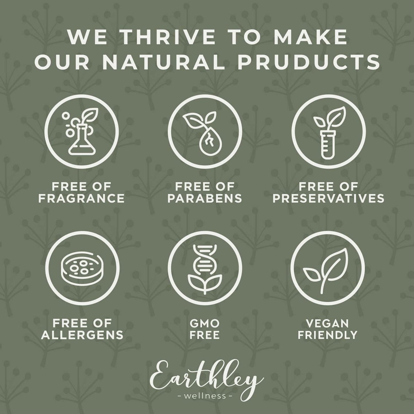 Earthley Wellness vitamina C polvo antioxidante para energía