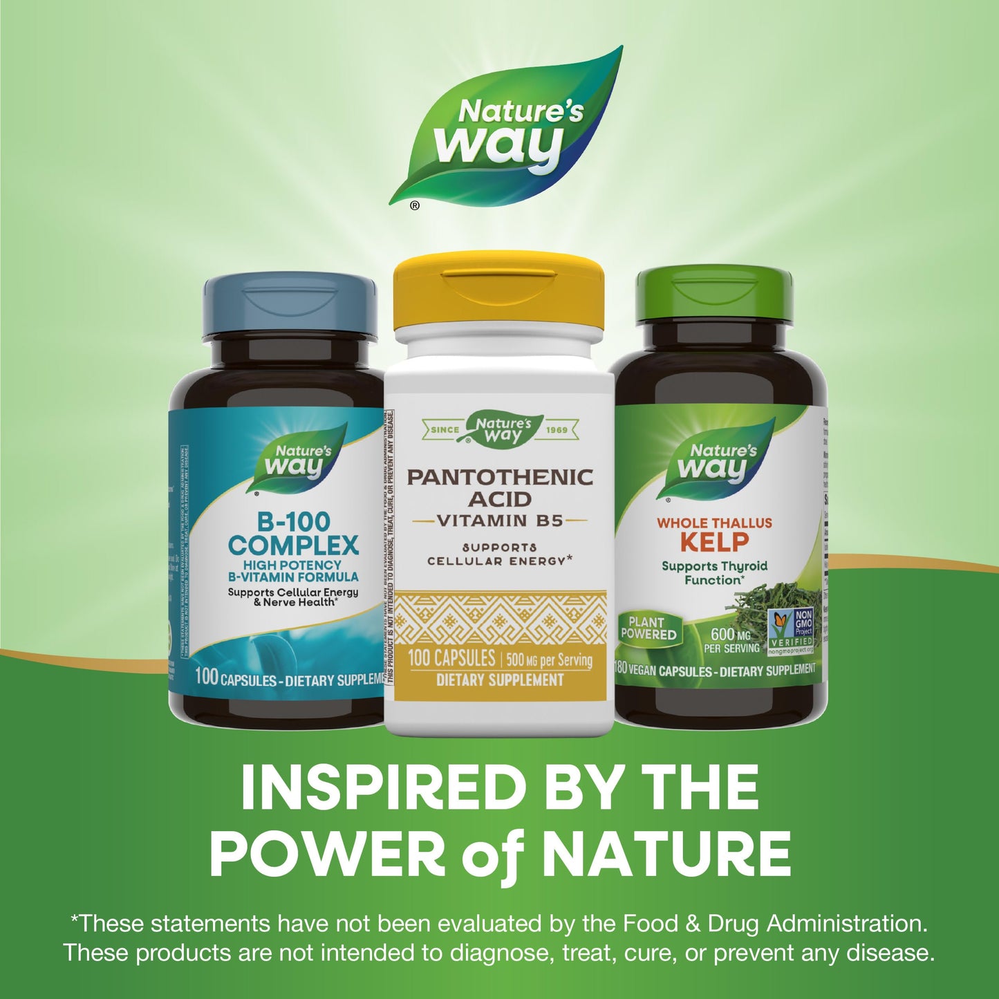 Envase y cápsulas Nature's Way ácido pantoténico 500mg 100 cont