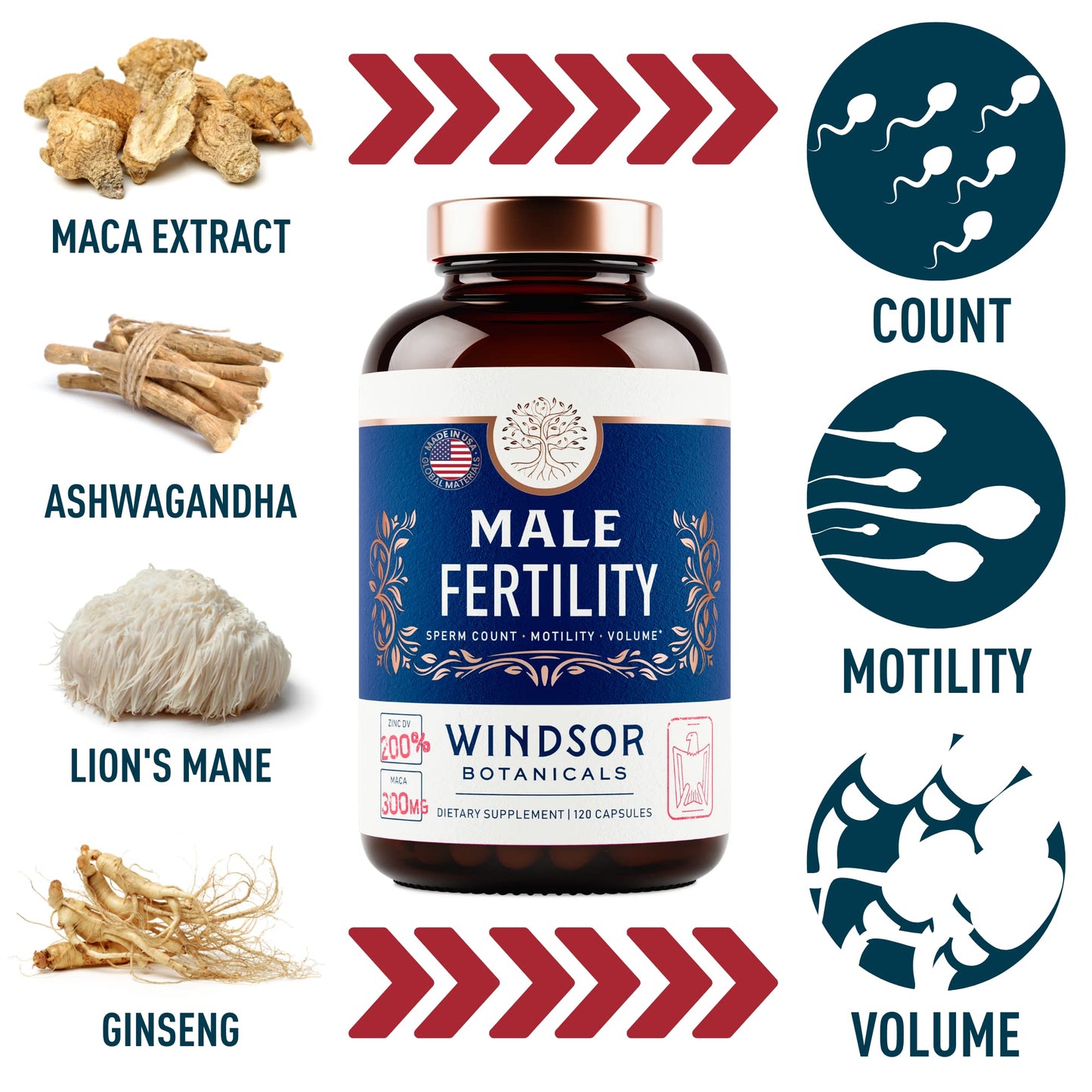 Etiqueta paquete fertilidad WINDSOR BOTANICALS