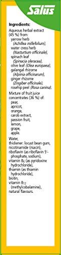 Floradix fórmula natural vitaminas B complejo líquido