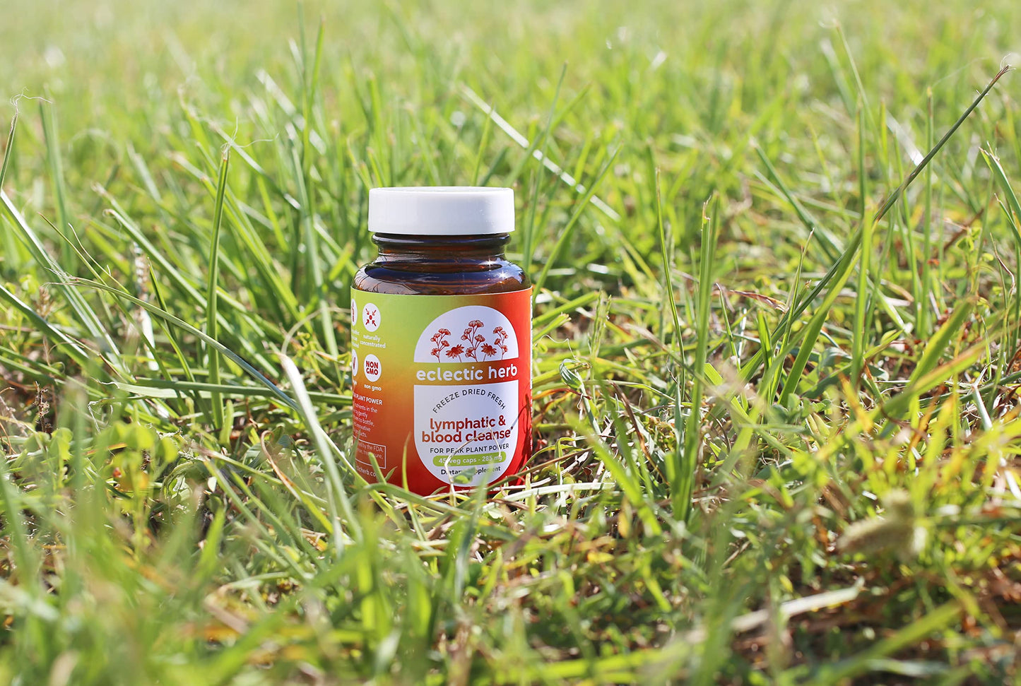 Frasco de Eclectic Lymph & Blood Cleanse en campo de césped