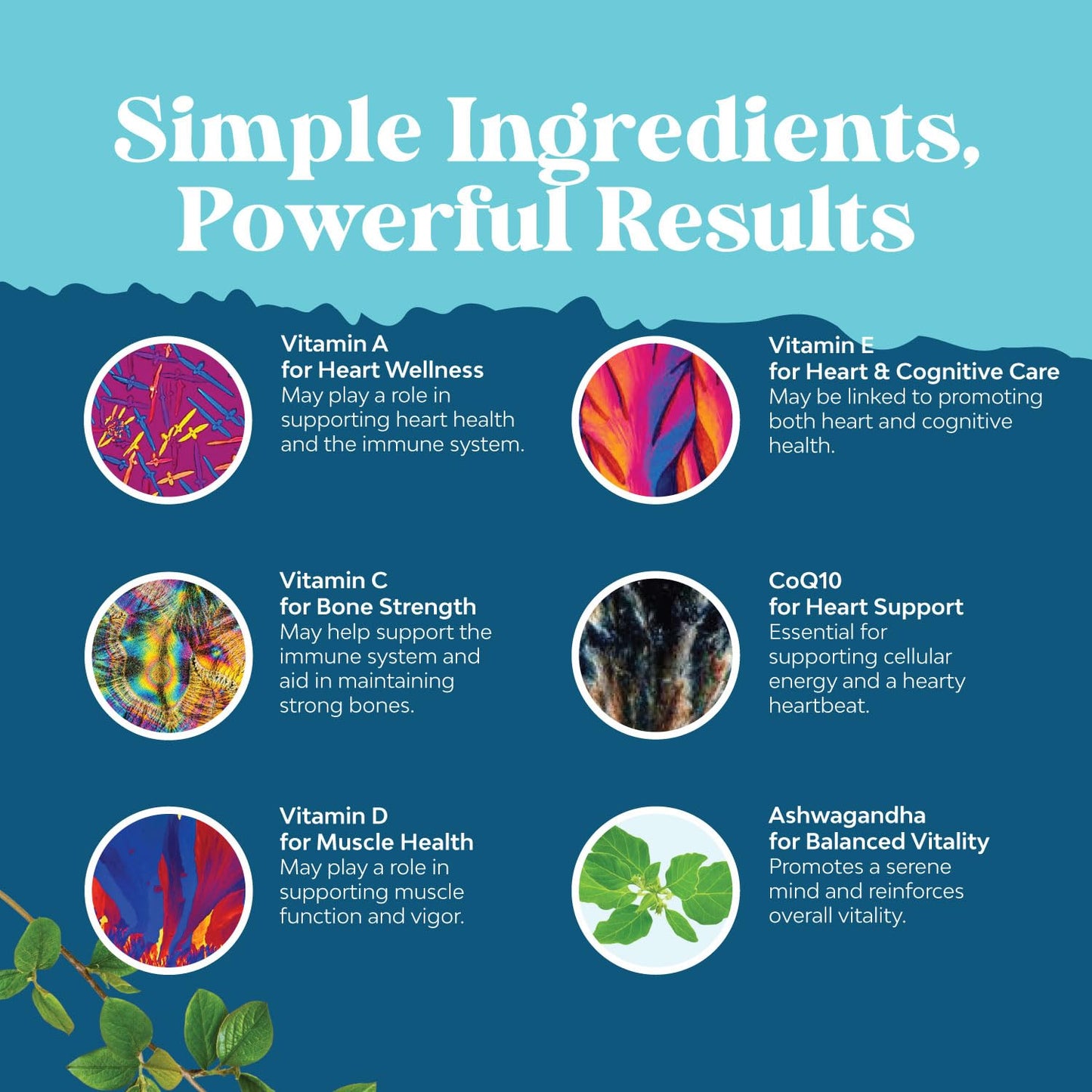 Frasco de gomitas multivitamínicas para hombre, Nature's Craft