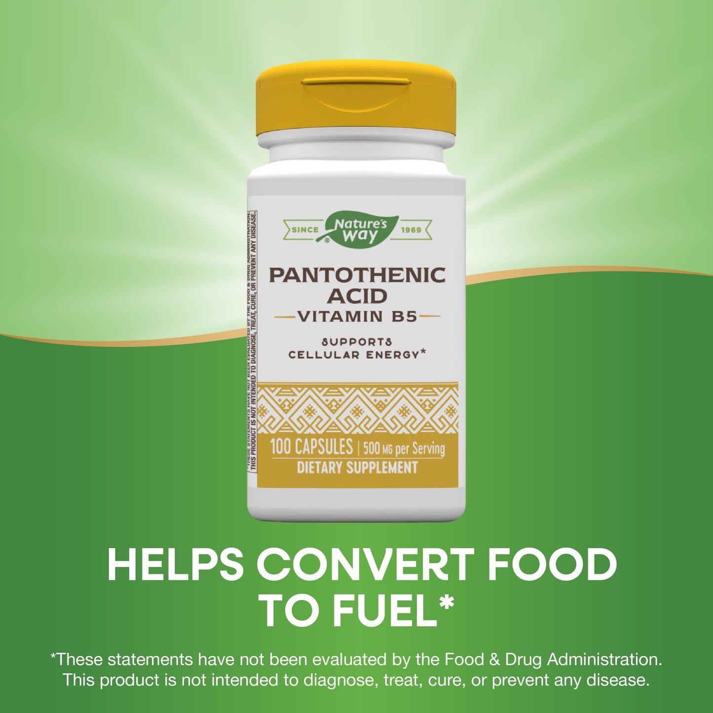 Frasco Nature's Way con ácido pantoténico 500mg 100 cápsulas