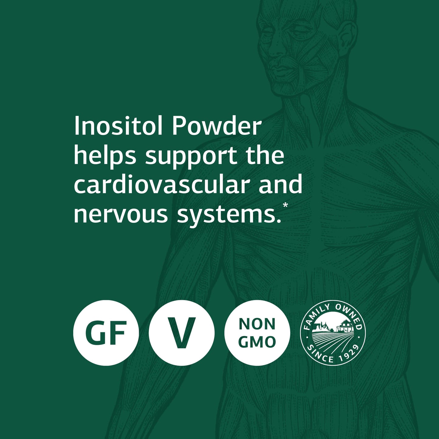 Frasco Standard Process suplemento inositol apoyo salud celular y hepática