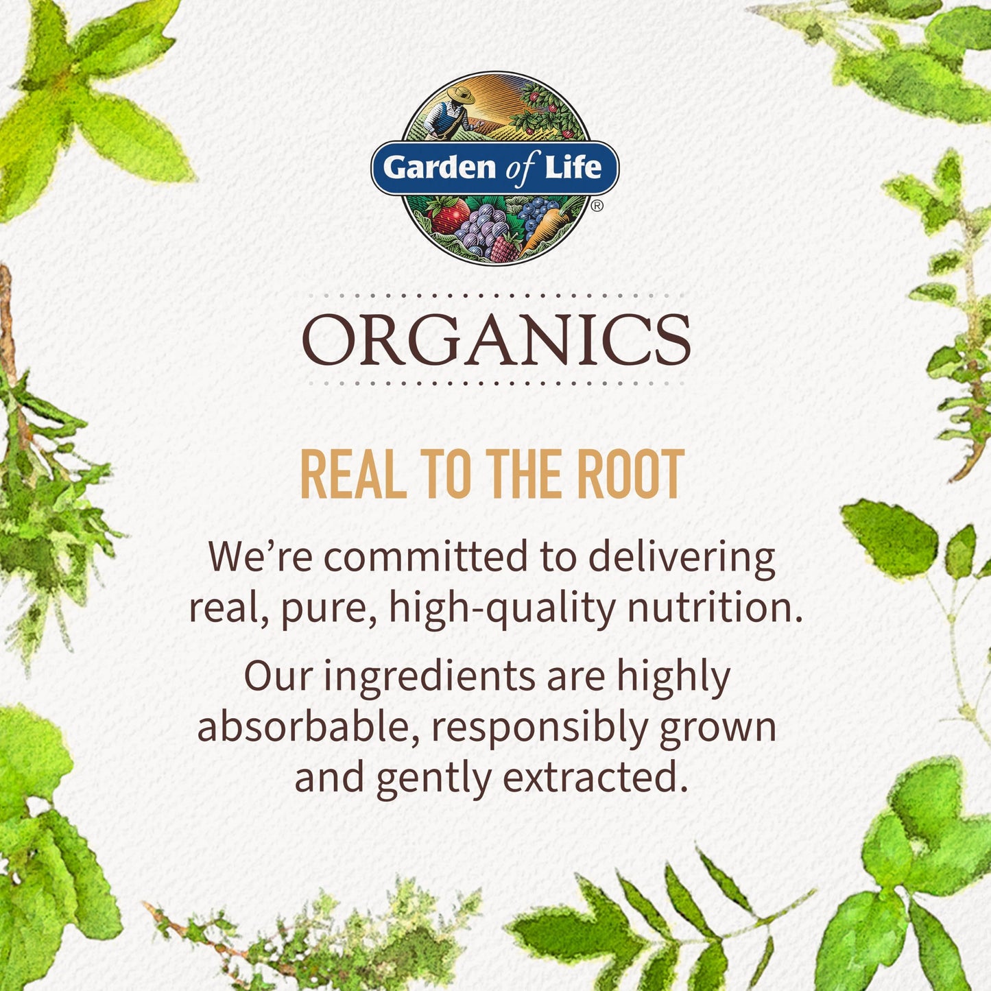 Garden of Life Organics real hasta la raíz.