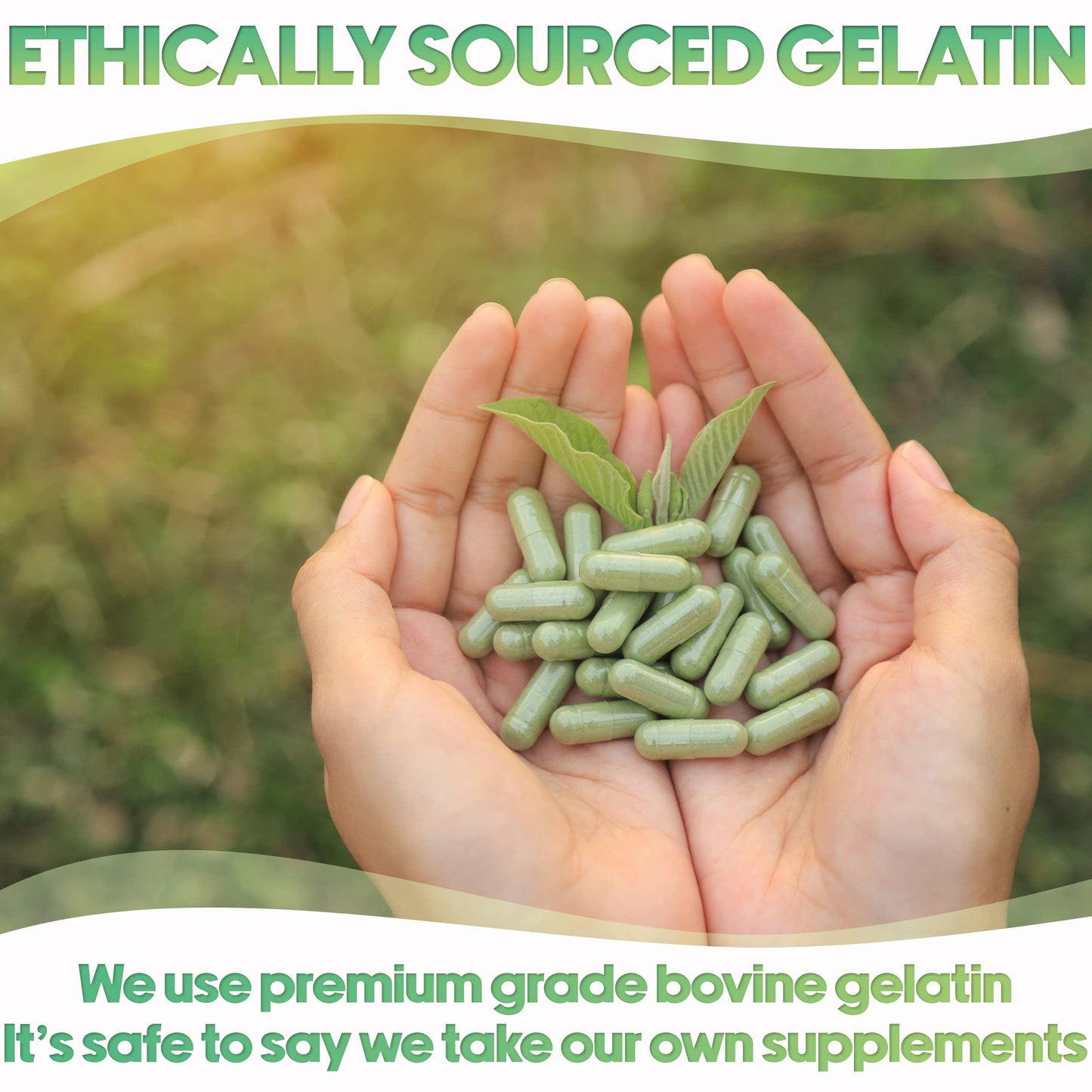 Gelatina bovina de origen ético