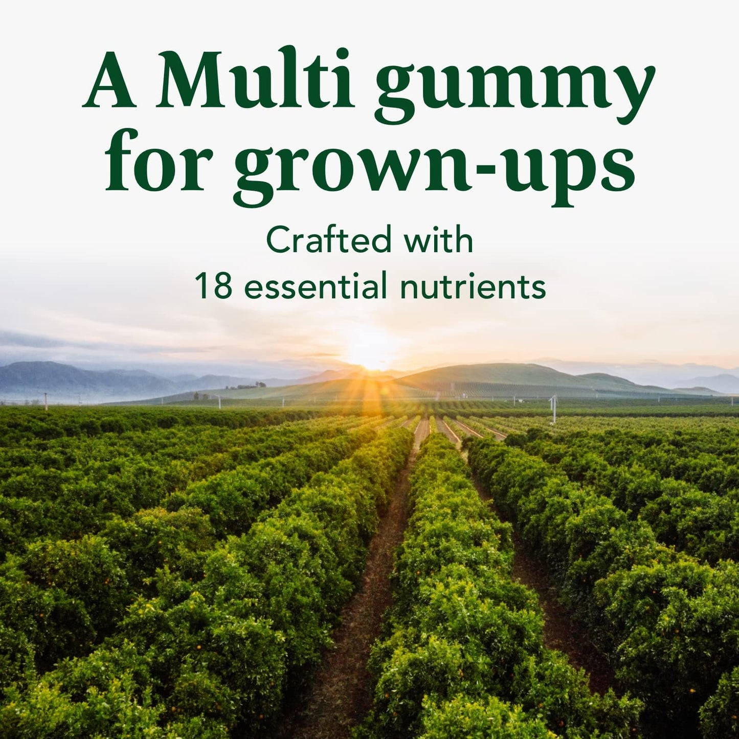 Gomitas para adultos MegaFood, 18 nutrientes esenciales.