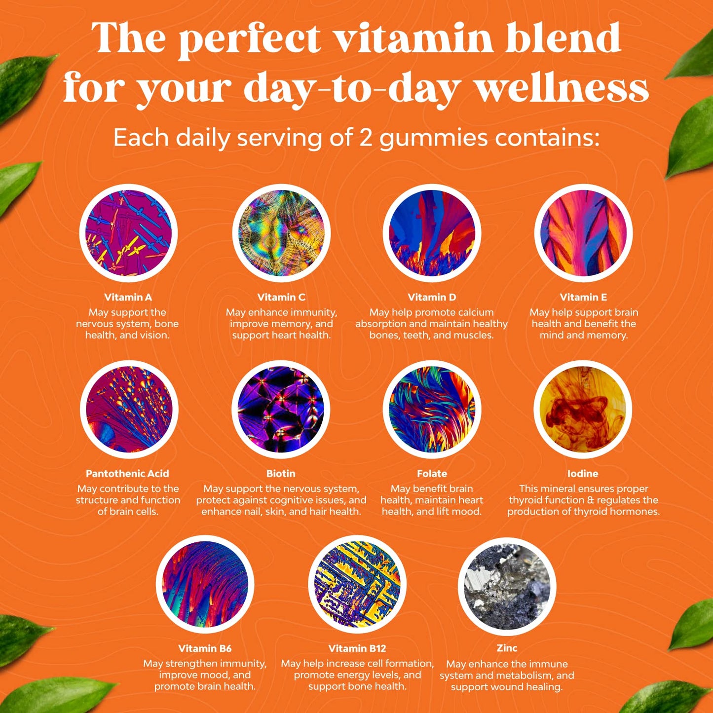Gomitas multivitaminas con ingredientes puros y confianza Natures Craft