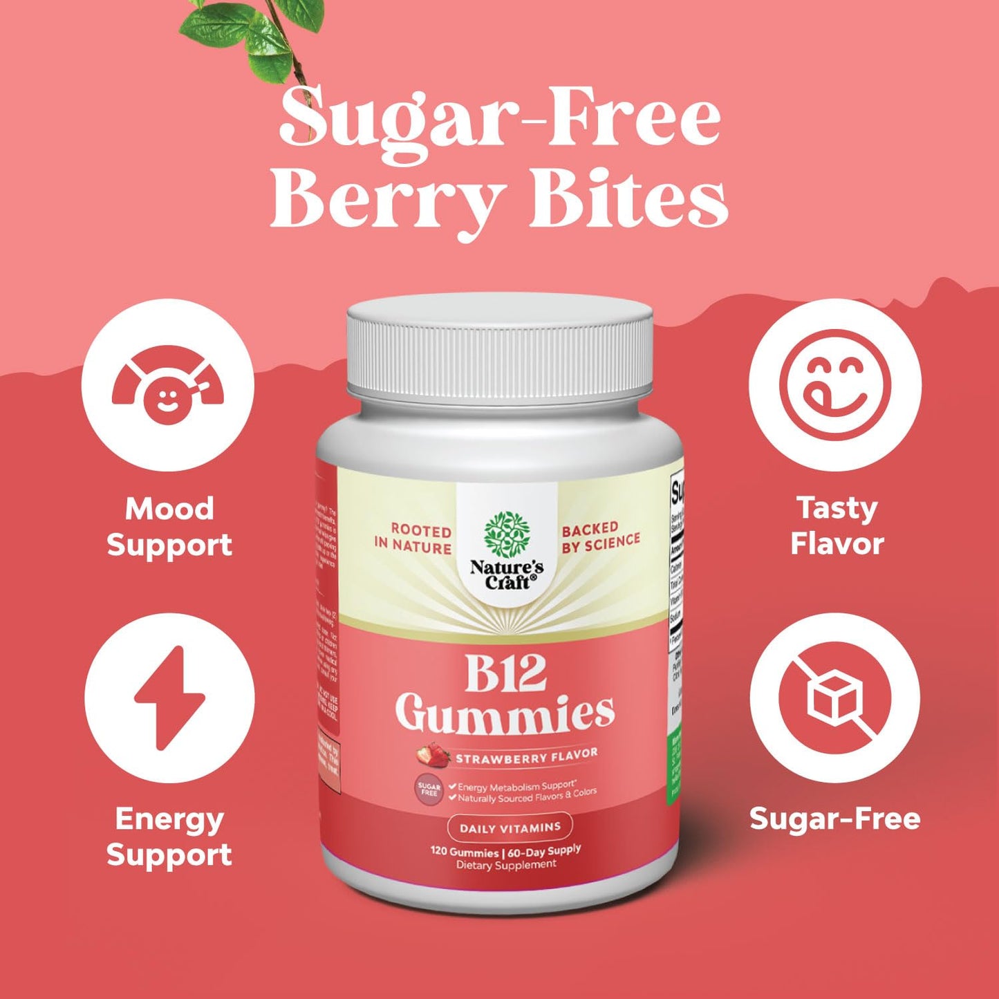 Gomitas vitamina B12 apoyo sistema nervioso Natures Craft