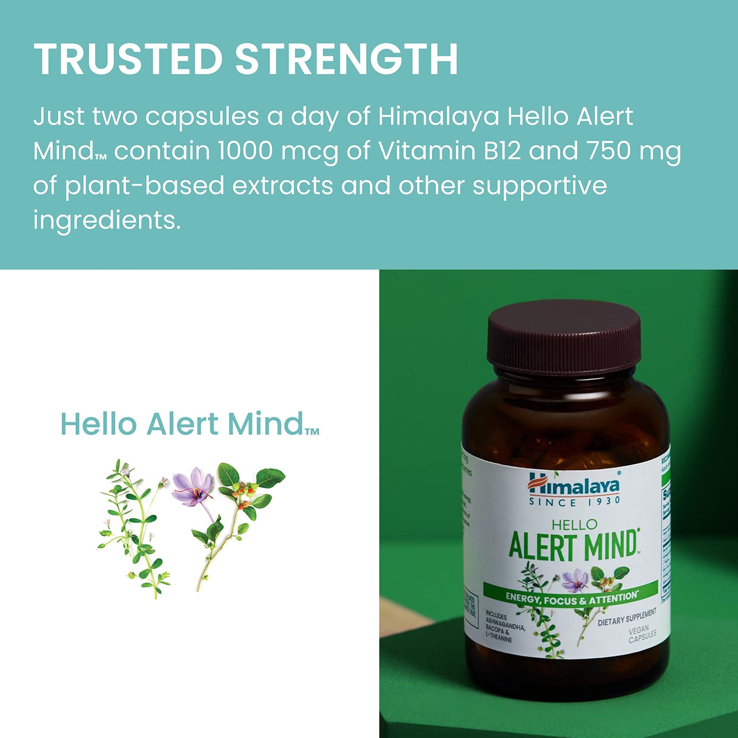 Himalaya suplemento para memoria y concentración con ingredientes naturales