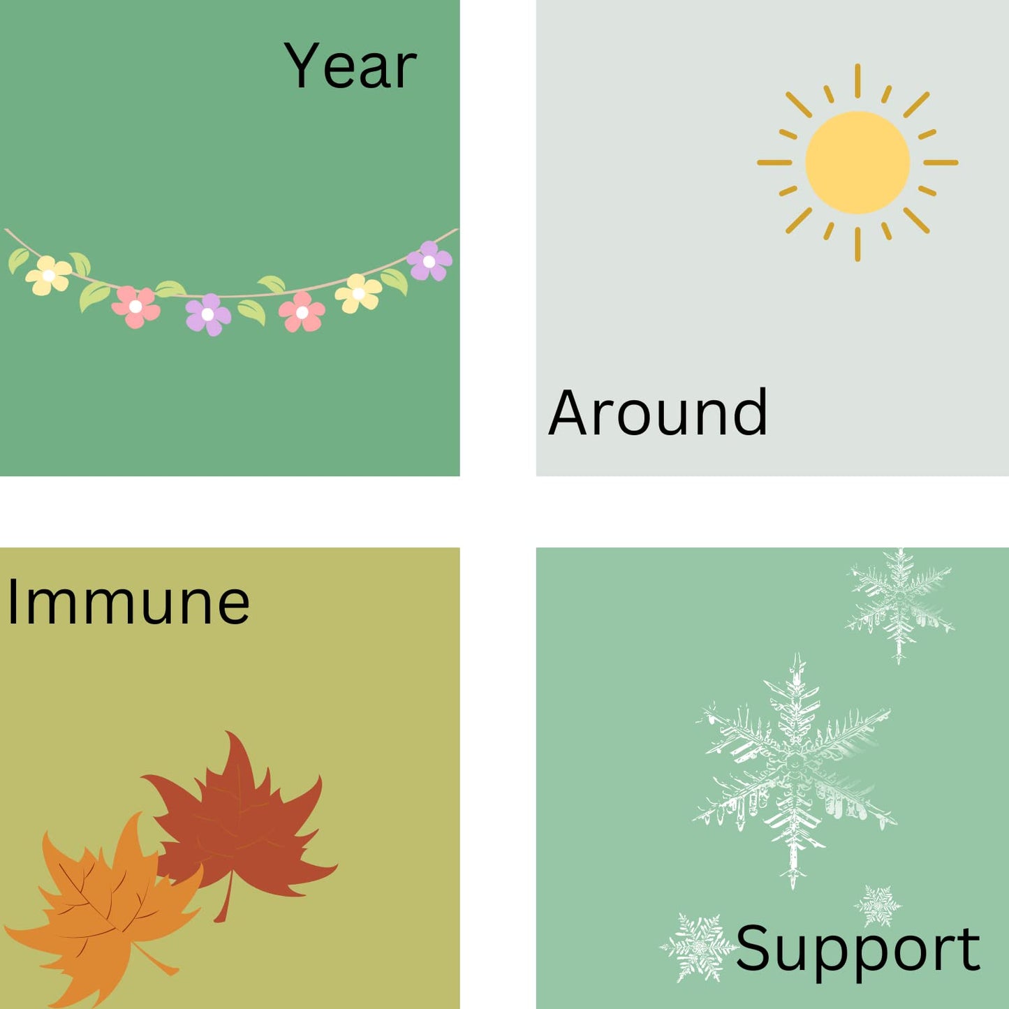 Immune support Phytage Labs