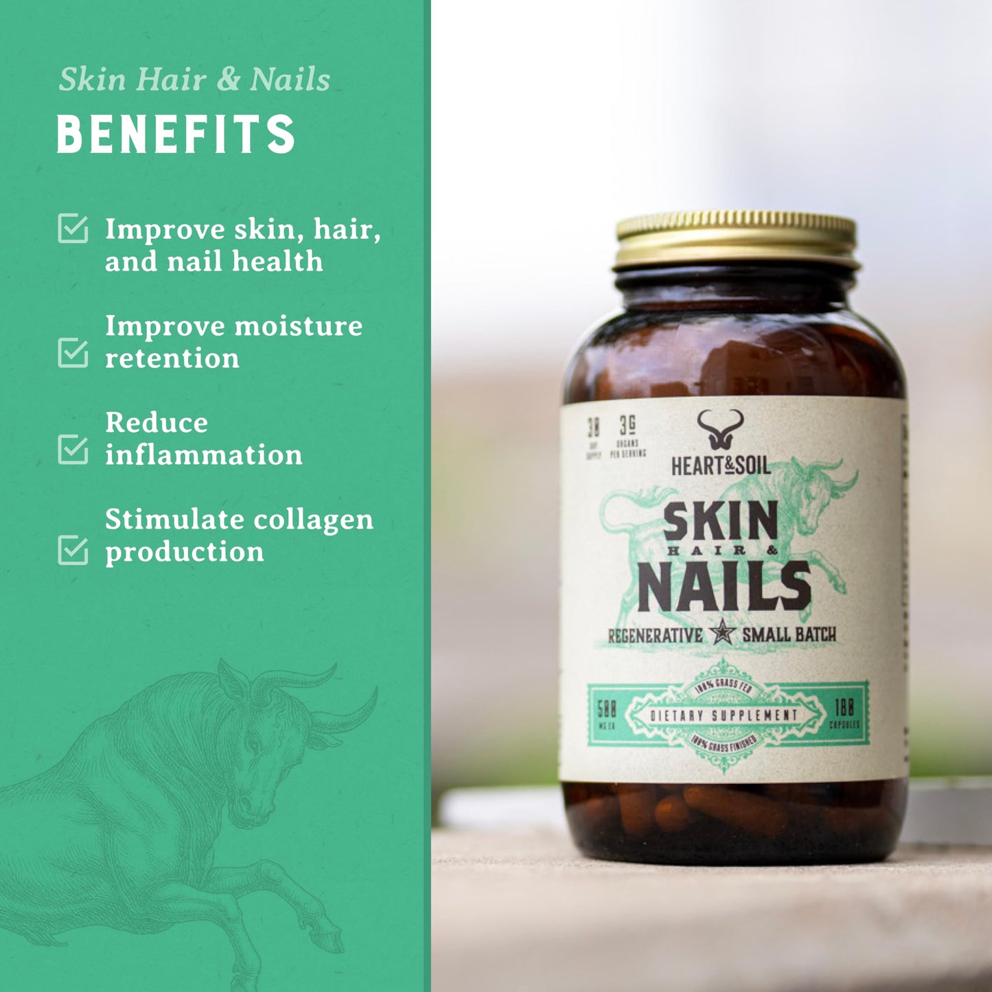 immunity-health-supplements-herb