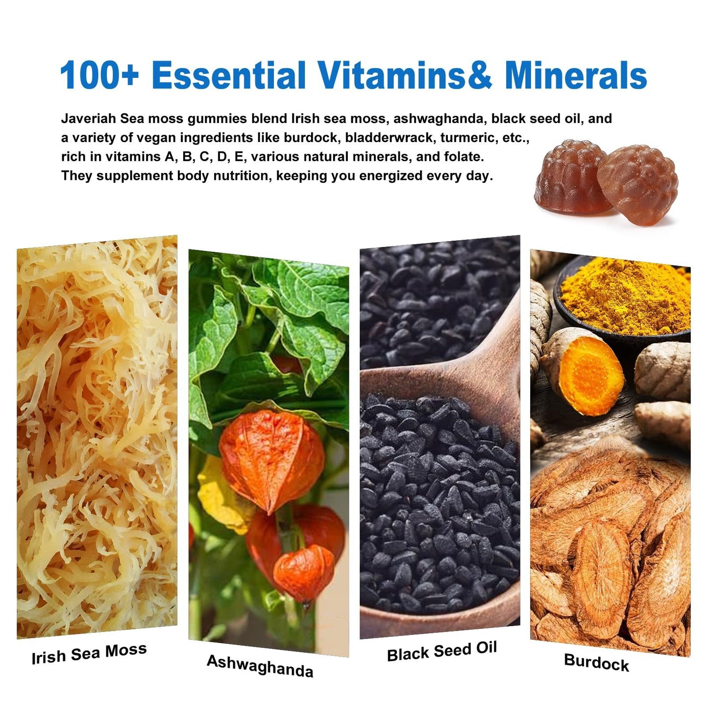 Ingredientes naturales gomitas musgo marino