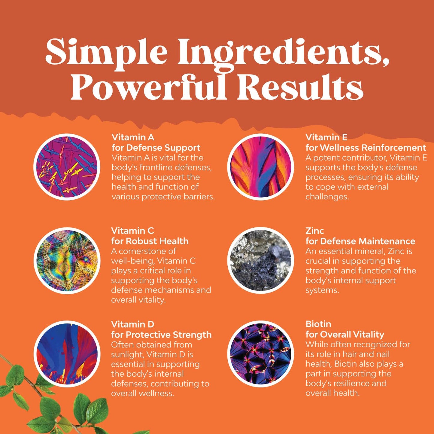 ingredientes sencillos de las gomitas multivitamínicas para adultos