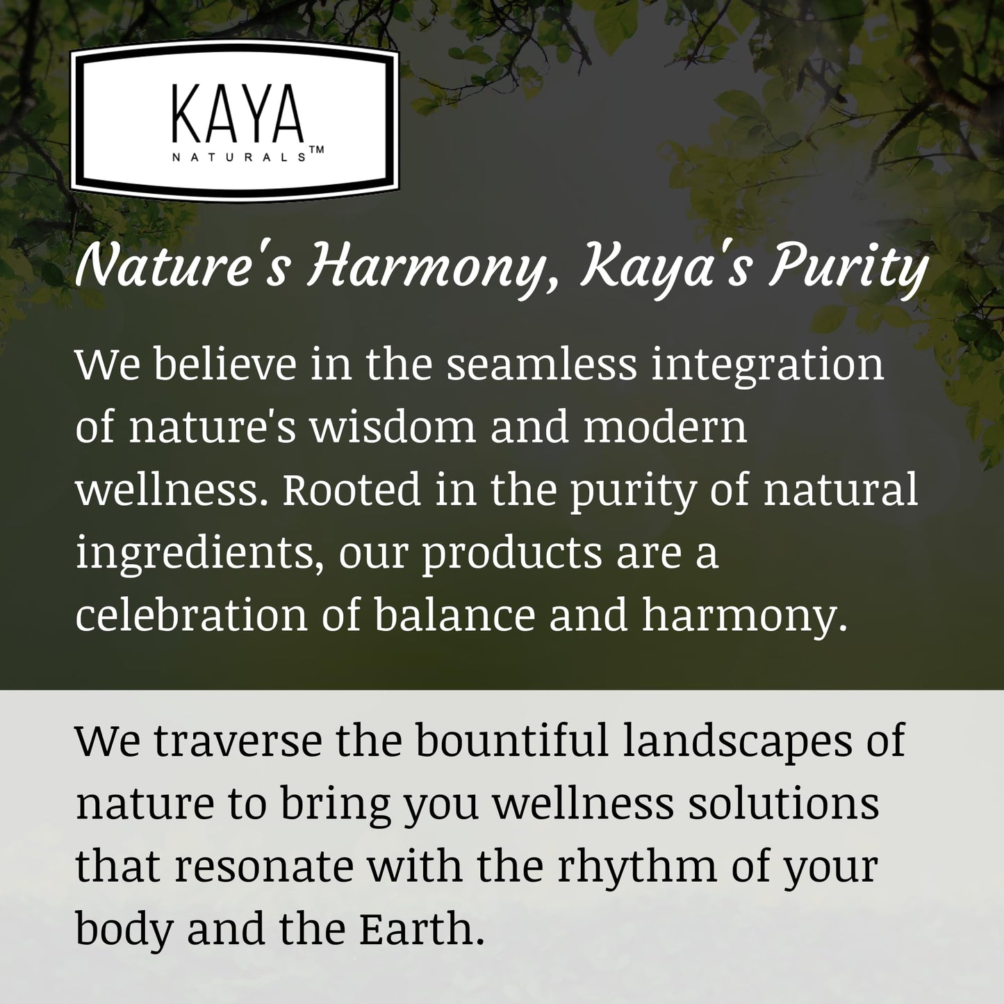 Kaya Naturals Multivitamínico Completo para Hombres Energeticos