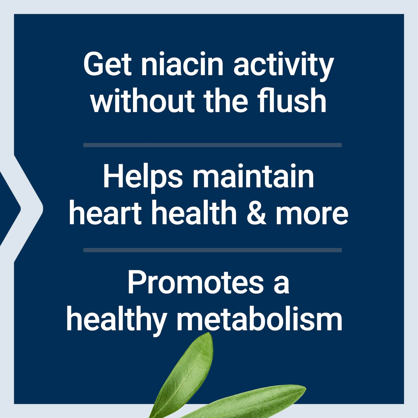 Suplemento niacina no-flush Life Extension salud corazón
