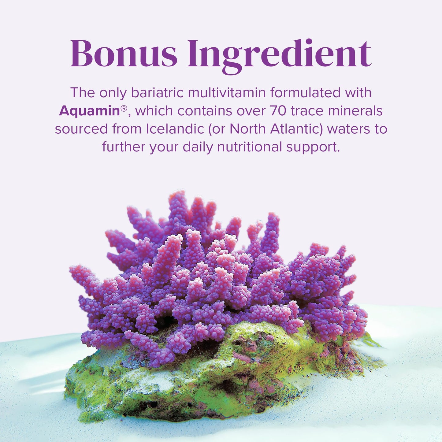 Multimineral Barimelts con trazas puras de minerales de alga