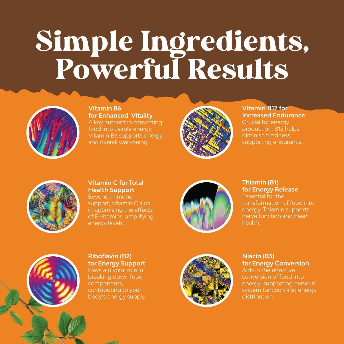 Natures Craft vitaminas b veganas líquidas saludables