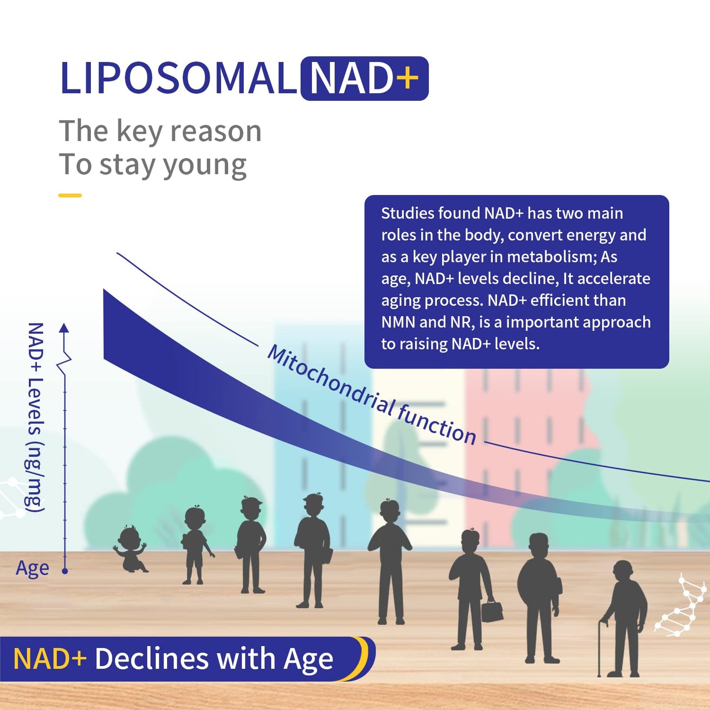 NICMIN NAD+ liposomal energía y reparación muscular