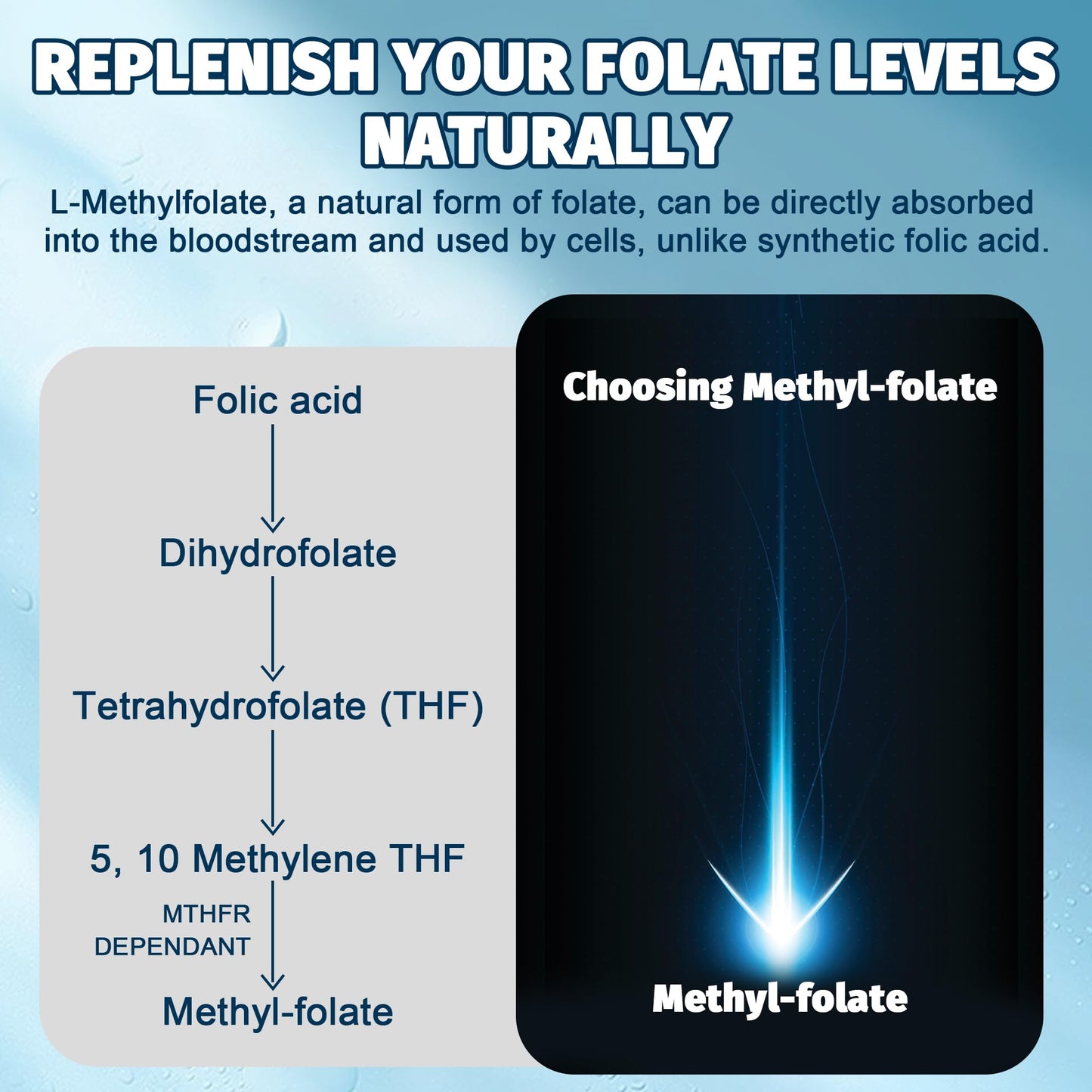 niveles de folato natural l-metilfolato