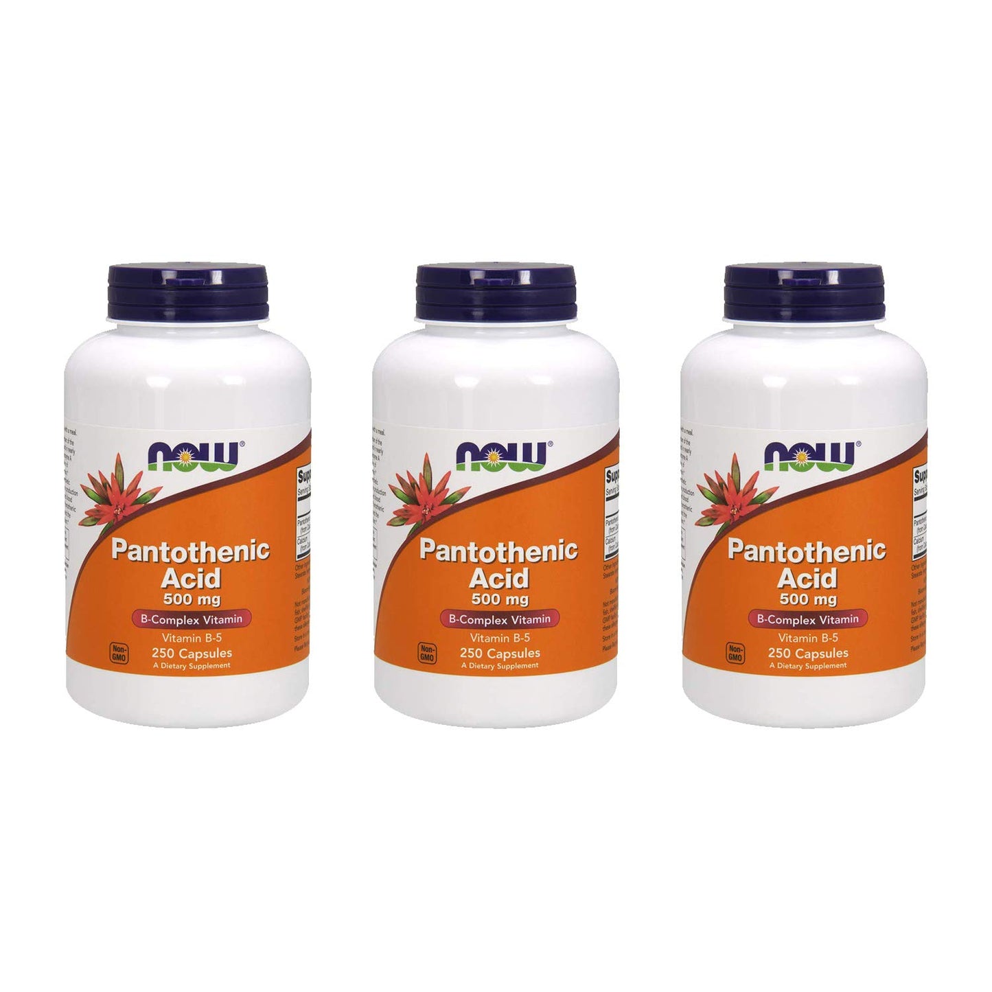 Now Foods Ácido Pantoténico 500 mg frasco 250 cápsulas
