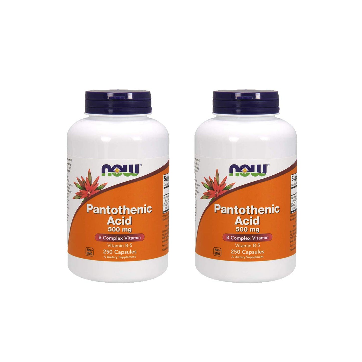 Now Foods ácido pantoténico 500 mg botella