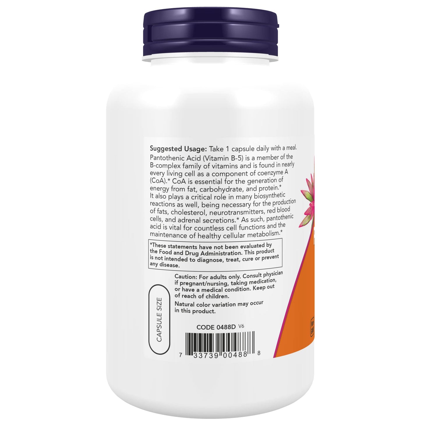 NOW Foods vitaminas B5 250 cápsulas para metabolismo y energía