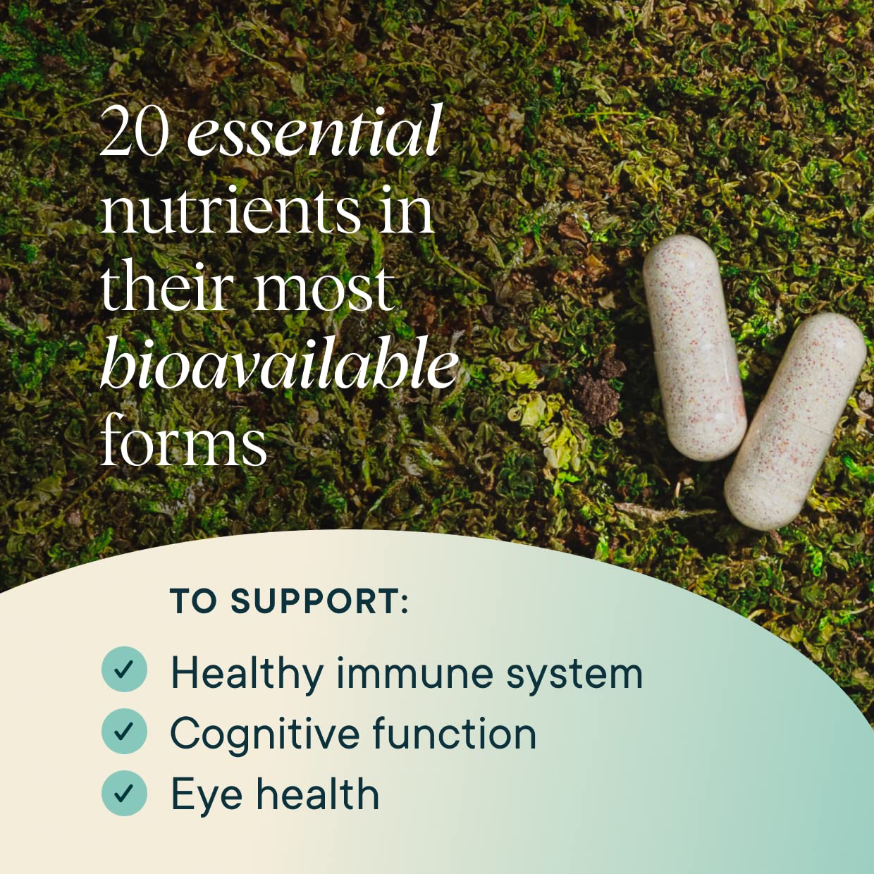 Nutrientes esenciales para salud máxima