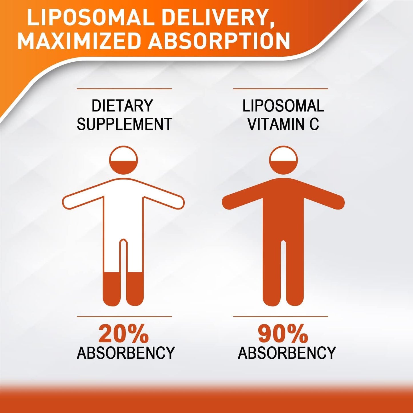 Paquete con 4 botellas vitamina c liposomal Vitablosom 60ml
