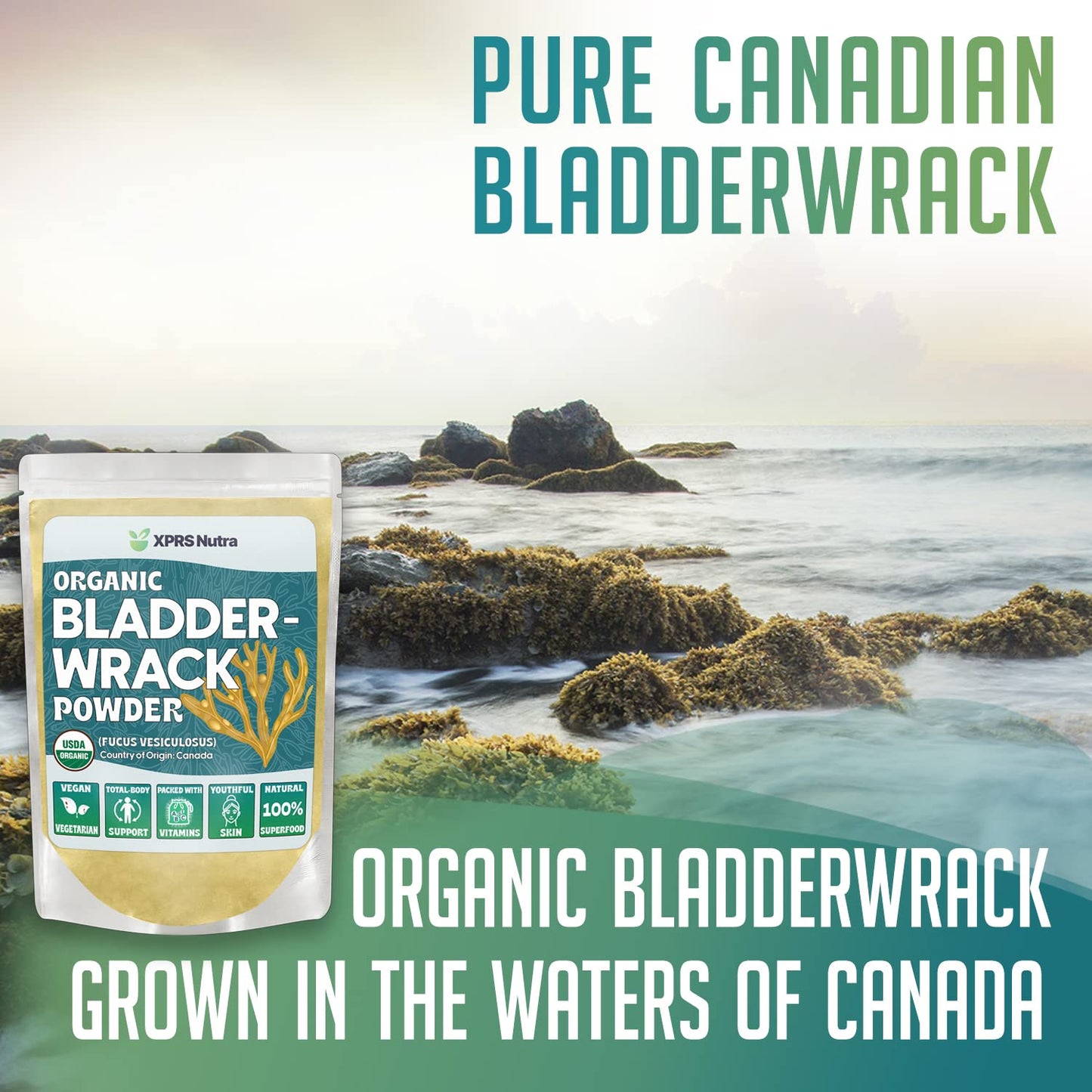 Paquete de cápsulas y bladderwrack canadiense.