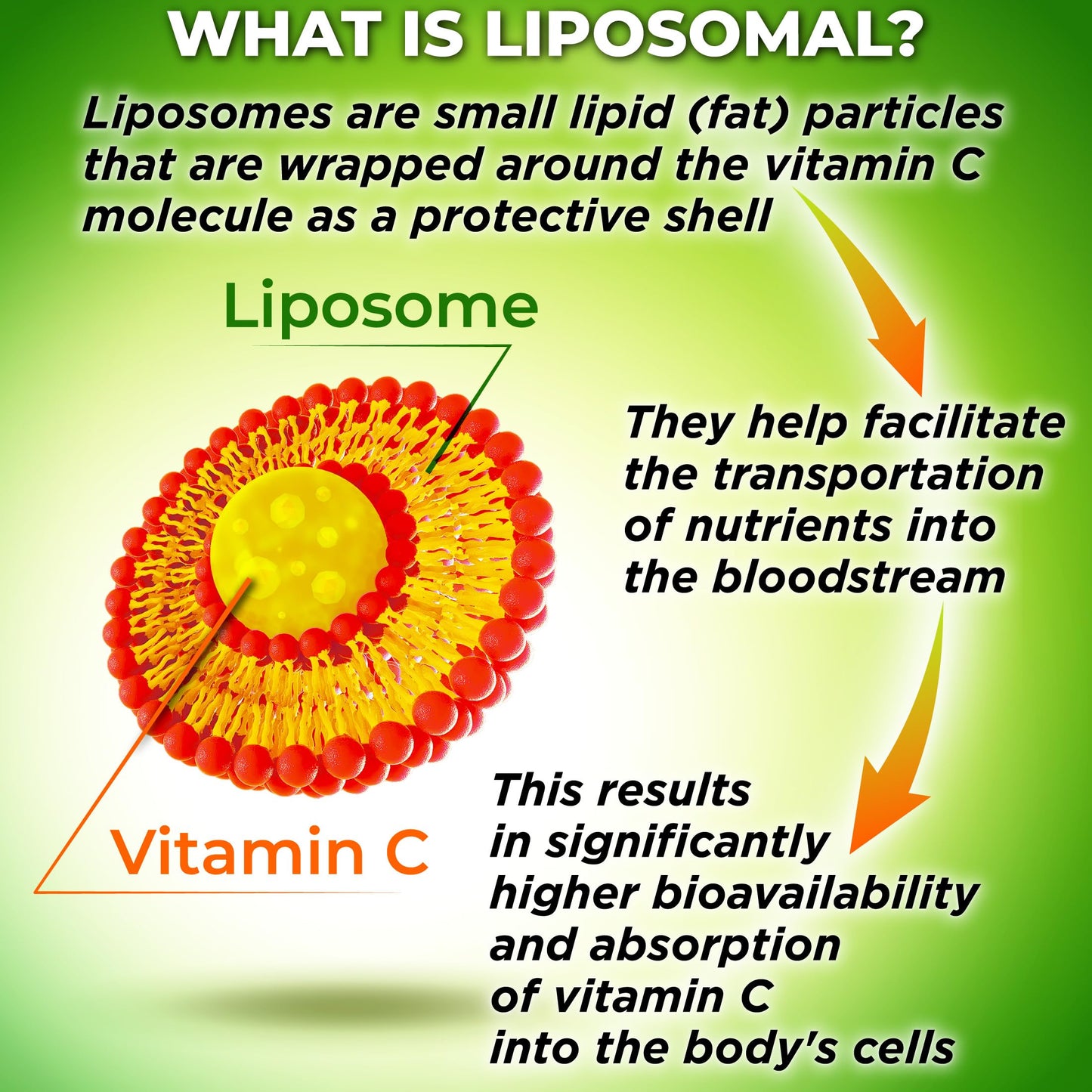 Paquete cápsulas gel vitamina c liquida liposomal antioxidante y salud