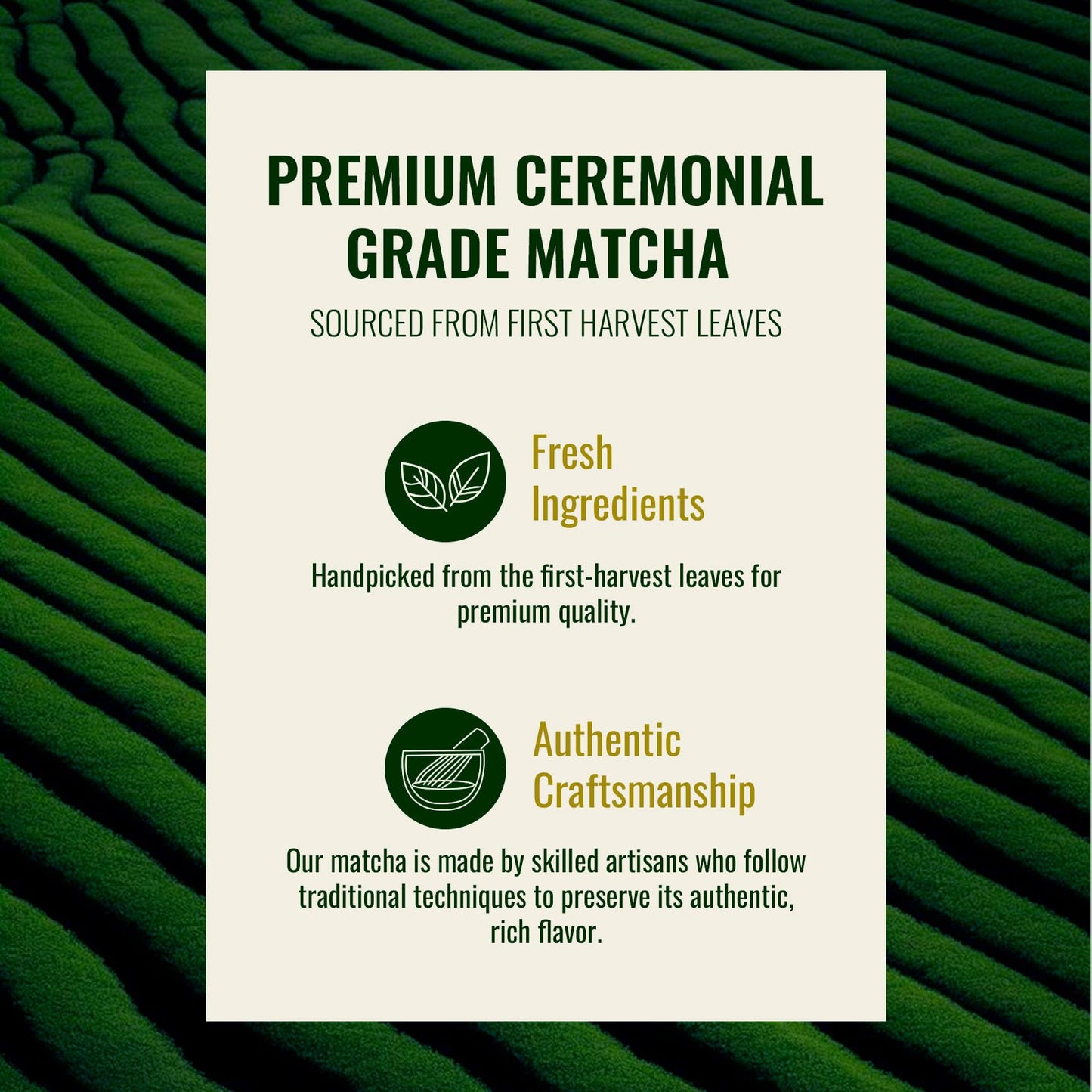 Paquete gomitas biotina con colágeno y matcha ceremonial