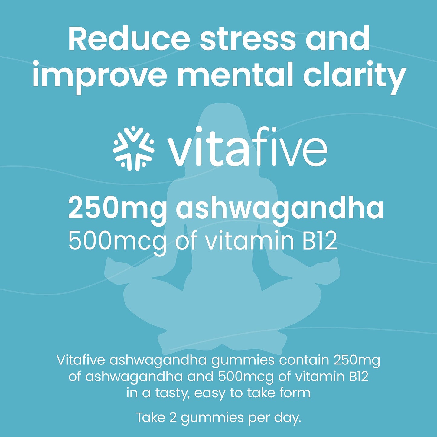 Paquete gomitas Vitafive Ashwagandha y Vitamina B12 veganas