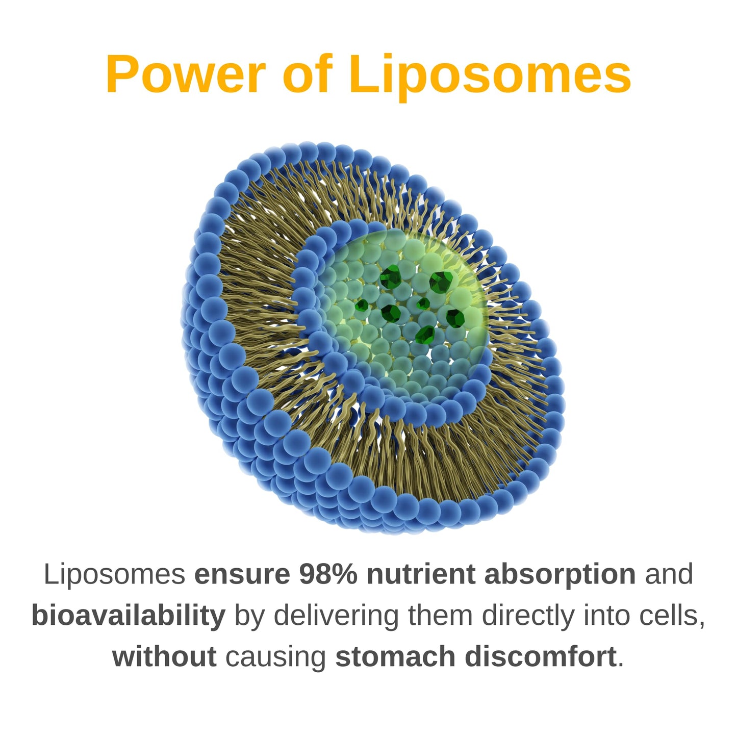 Poder de los liposomas en multivitaminas Vitaminally