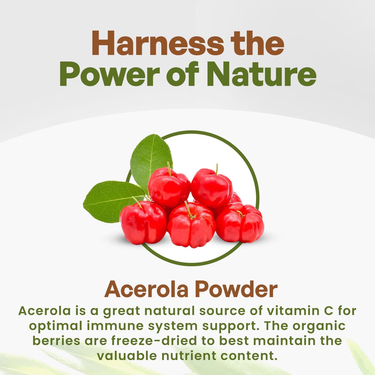 Polvo acerola Go Nutra para smoothies y jugos diarios