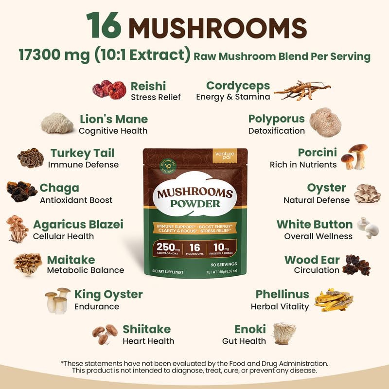 Polvo adaptógeno hongos Ashwagandha Rhodiola Venture Pal
