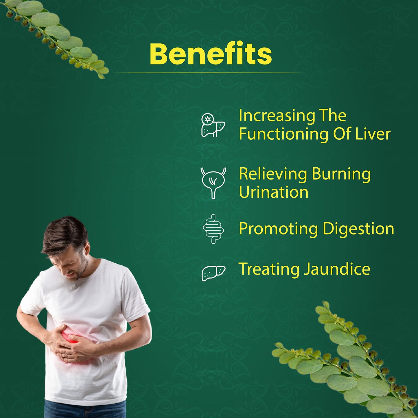 Polvo antioxidante Bhumi Amla envase Vedikroots